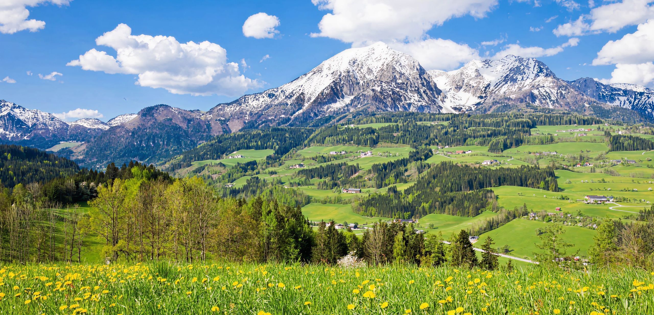 Eine malerische Alpenlandschaft mit schneebedeckten Bergen, grünen Wiesen, Dörfern und Wäldern unter blauem Himmel.